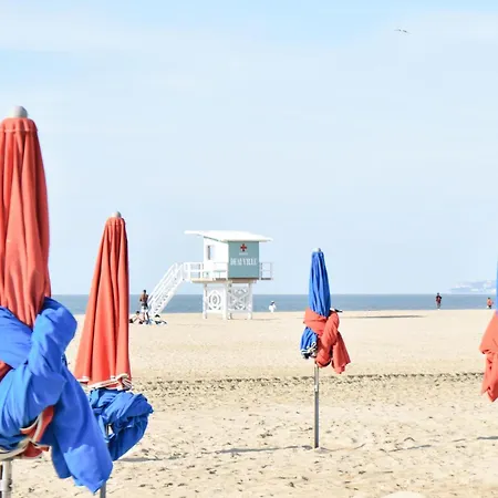 1 Bedroom Gorgeous In Appartement